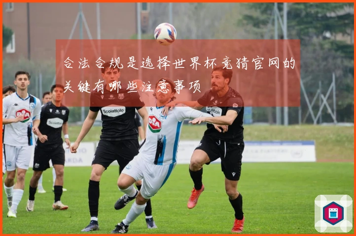 合法合规是选择世界杯竞猜官网的关键有哪些注意事项