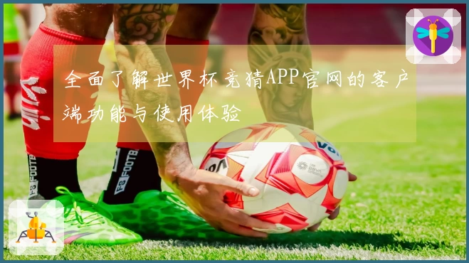 全面了解世界杯竞猜APP官网的客户端功能与使用体验