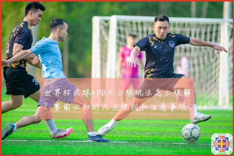 世界杯买球app大小球玩法怎么理解？赛前必知的几点规则和注意事项
