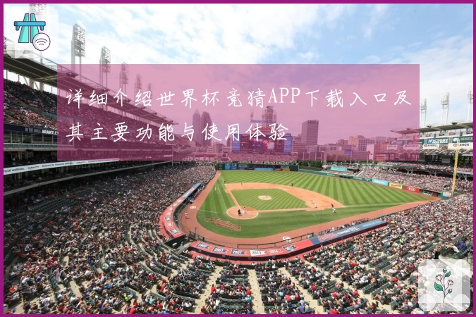 详细介绍世界杯竞猜APP下载入口及其主要功能与使用体验
