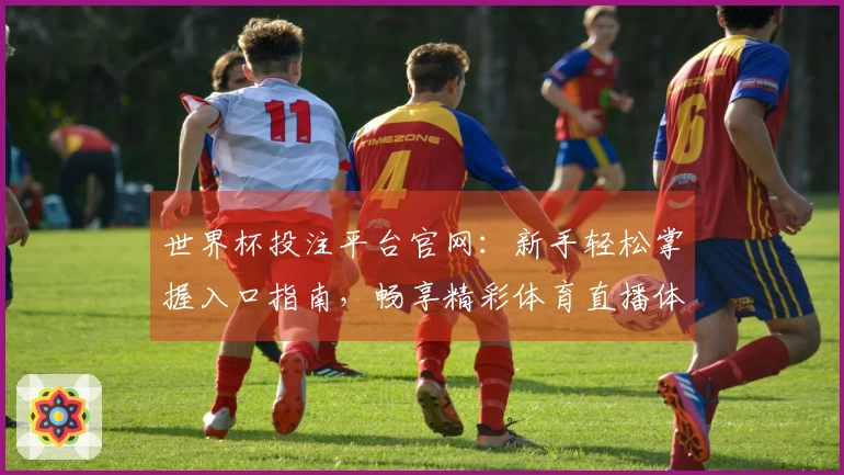 世界杯投注平台官网：新手轻松掌握入口指南，畅享精彩体育直播体验