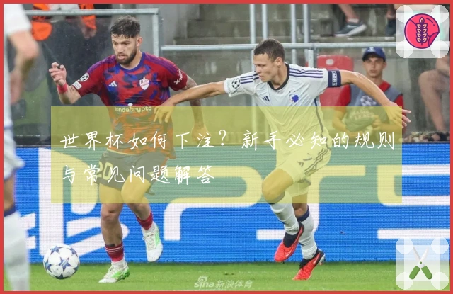 世界杯如何下注？新手必知的规则与常见问题解答