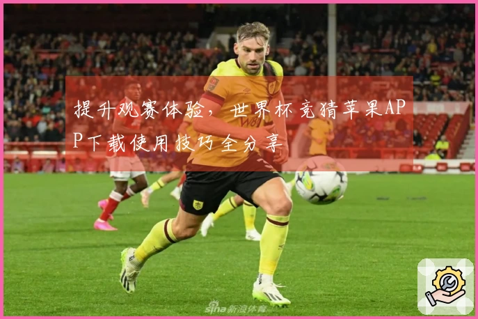 提升观赛体验，世界杯竞猜苹果APP下载使用技巧全分享