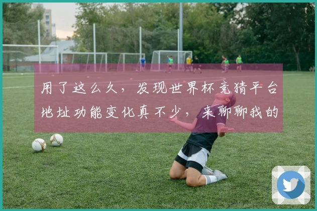 用了这么久,发现世界杯竞猜平台地址功能变化真不少,来聊聊我的使用感受