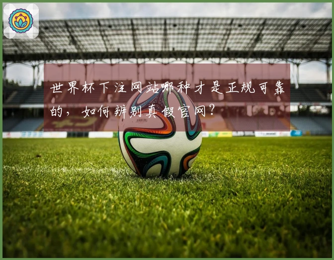 世界杯下注网站哪种才是正规可靠的，如何辨别真假官网？