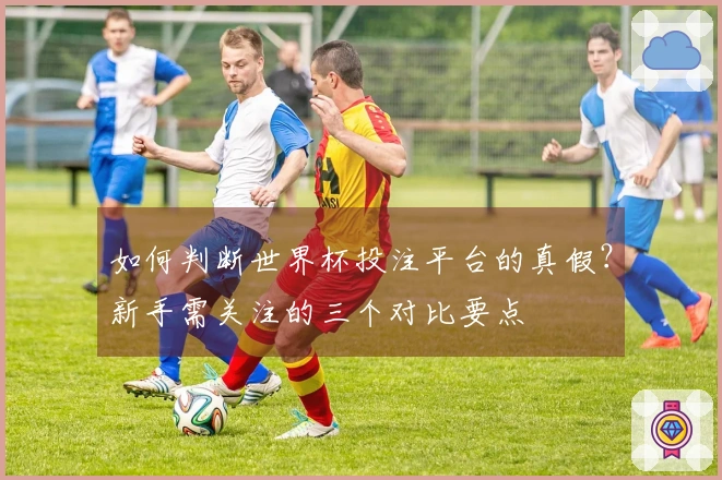 如何判断世界杯投注平台的真假？新手需关注的三个对比要点