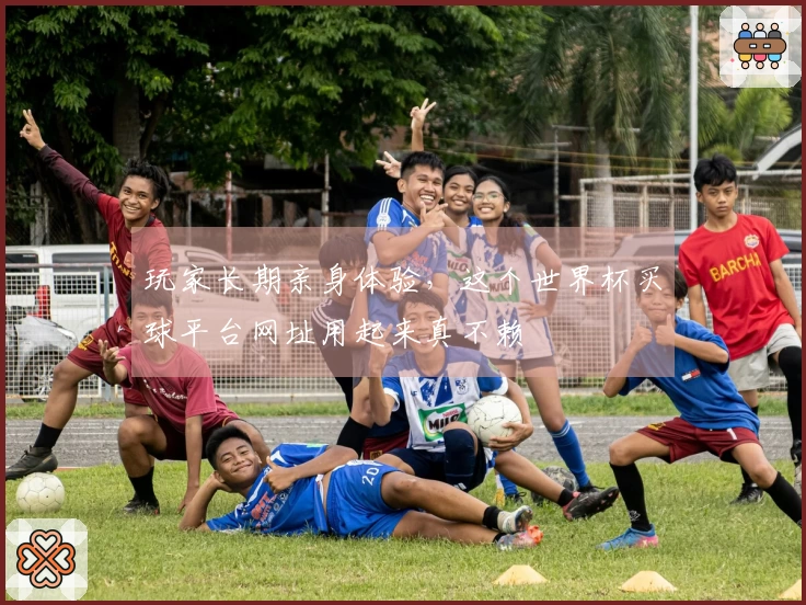 玩家长期亲身体验，这个世界杯买球平台网址用起来真不赖