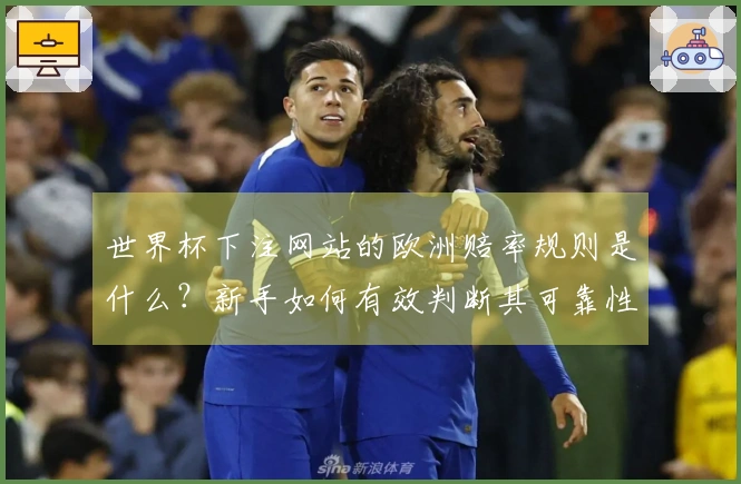 世界杯下注网站的欧洲赔率规则是什么?新手如何有效判断其可靠性