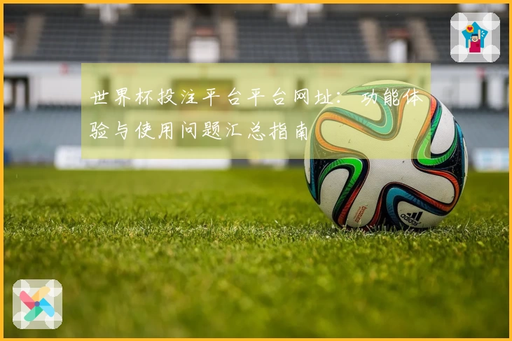 世界杯投注平台平台网址：功能体验与使用问题汇总指南