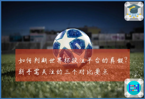 如何判断世界杯投注平台的真假？新手需关注的三个对比要点