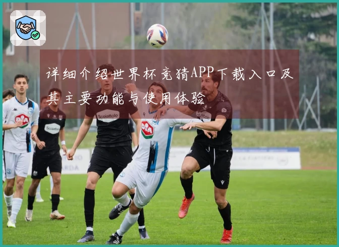 详细介绍世界杯竞猜APP下载入口及其主要功能与使用体验