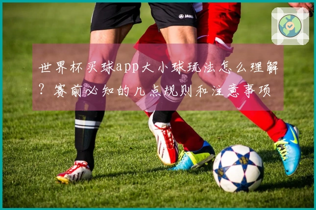 世界杯买球app大小球玩法怎么理解?赛前必知的几点规则和注意事项