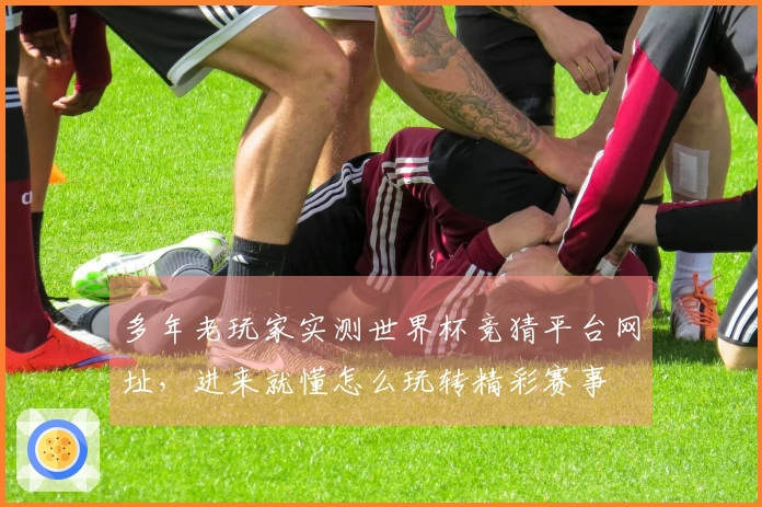 多年老玩家实测世界杯竞猜平台网址，进来就懂怎么玩转精彩赛事
