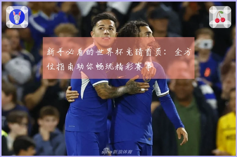 新手必看的世界杯竞猜首页：全方位指南助你畅玩精彩赛事