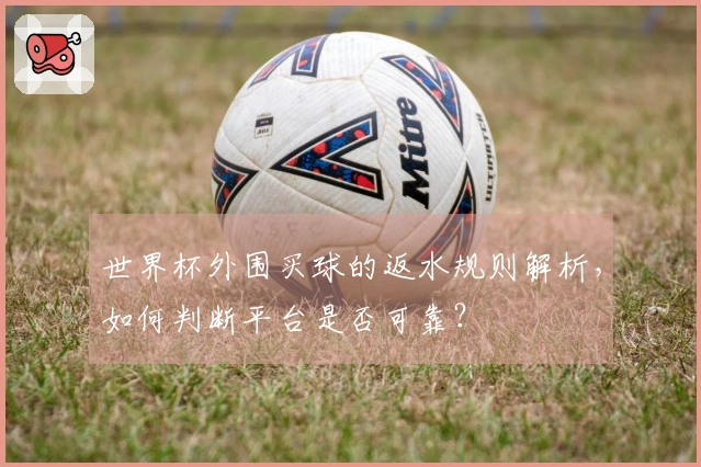 世界杯外围买球的返水规则解析，如何判断平台是否可靠？