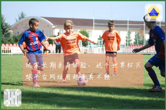 玩家长期亲身体验，这个世界杯买球平台网址用起来真不赖