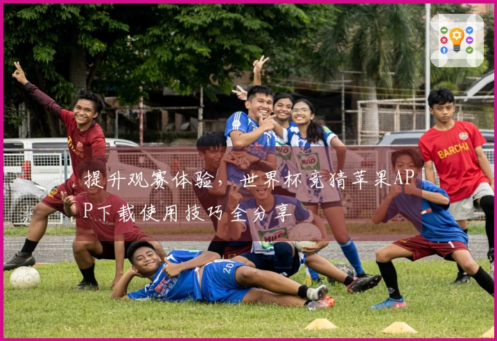 提升观赛体验,世界杯竞猜苹果APP下载使用技巧全分享
