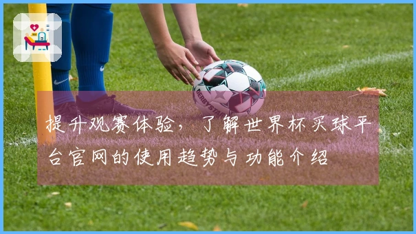 提升观赛体验,了解世界杯买球平台官网的使用趋势与功能介绍