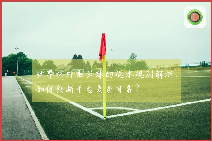 世界杯外围买球的返水规则解析,如何判断平台是否可靠?