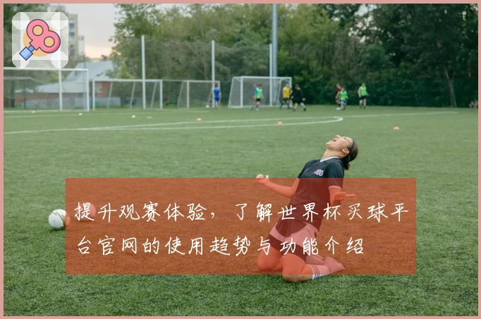 提升观赛体验，了解世界杯买球平台官网的使用趋势与功能介绍