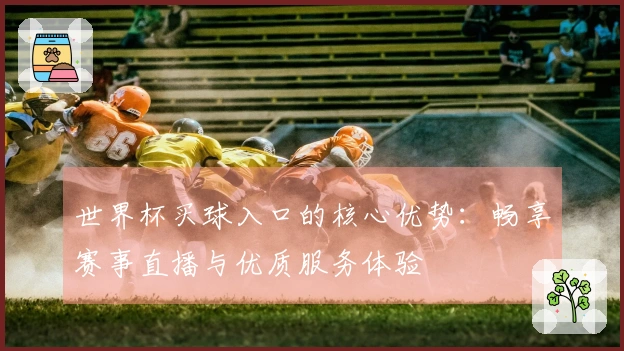世界杯买球入口的核心优势:畅享赛事直播与优质服务体验