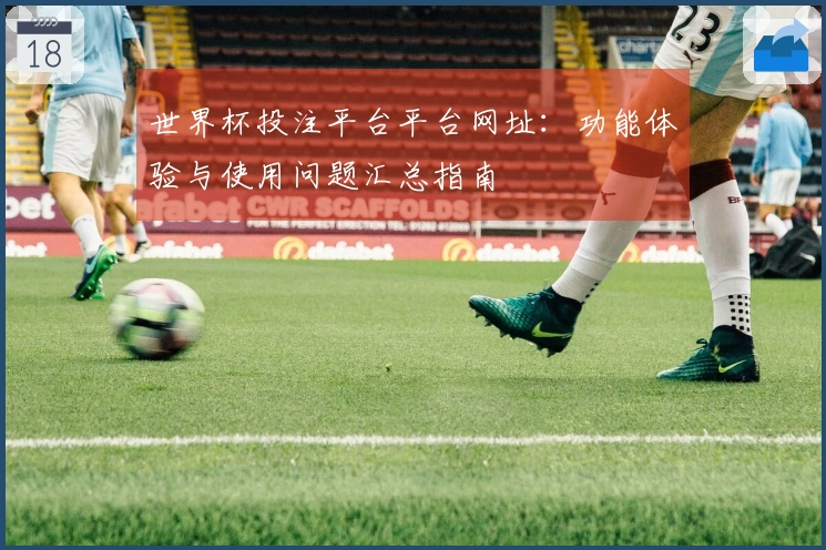 世界杯投注平台平台网址：功能体验与使用问题汇总指南